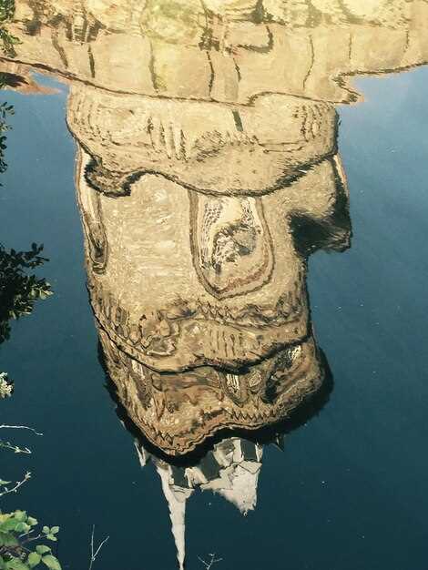 Uncovering the Best Viewing Spots at Laguna Seca