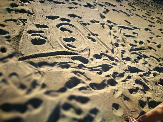 Understanding the Track’s Unique Features for Optimal Performance